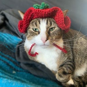 Strawberry Cat Hat